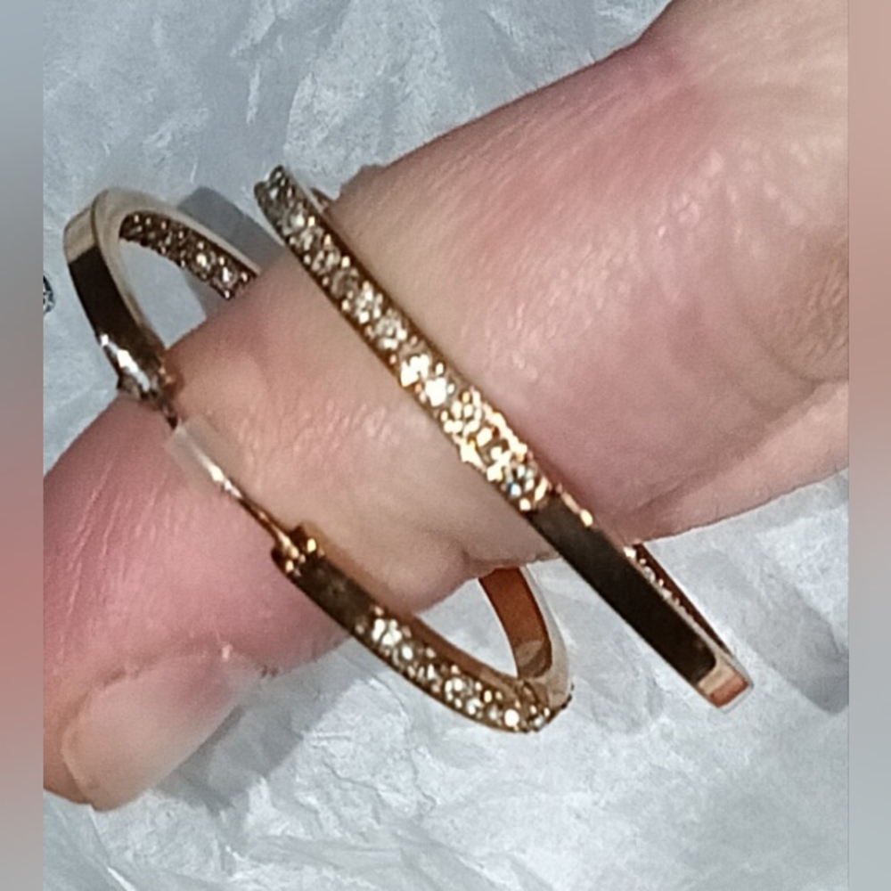 Fossil Rose NWOT Gold Over Stainless Steel Inside Outside Hoop Earrings